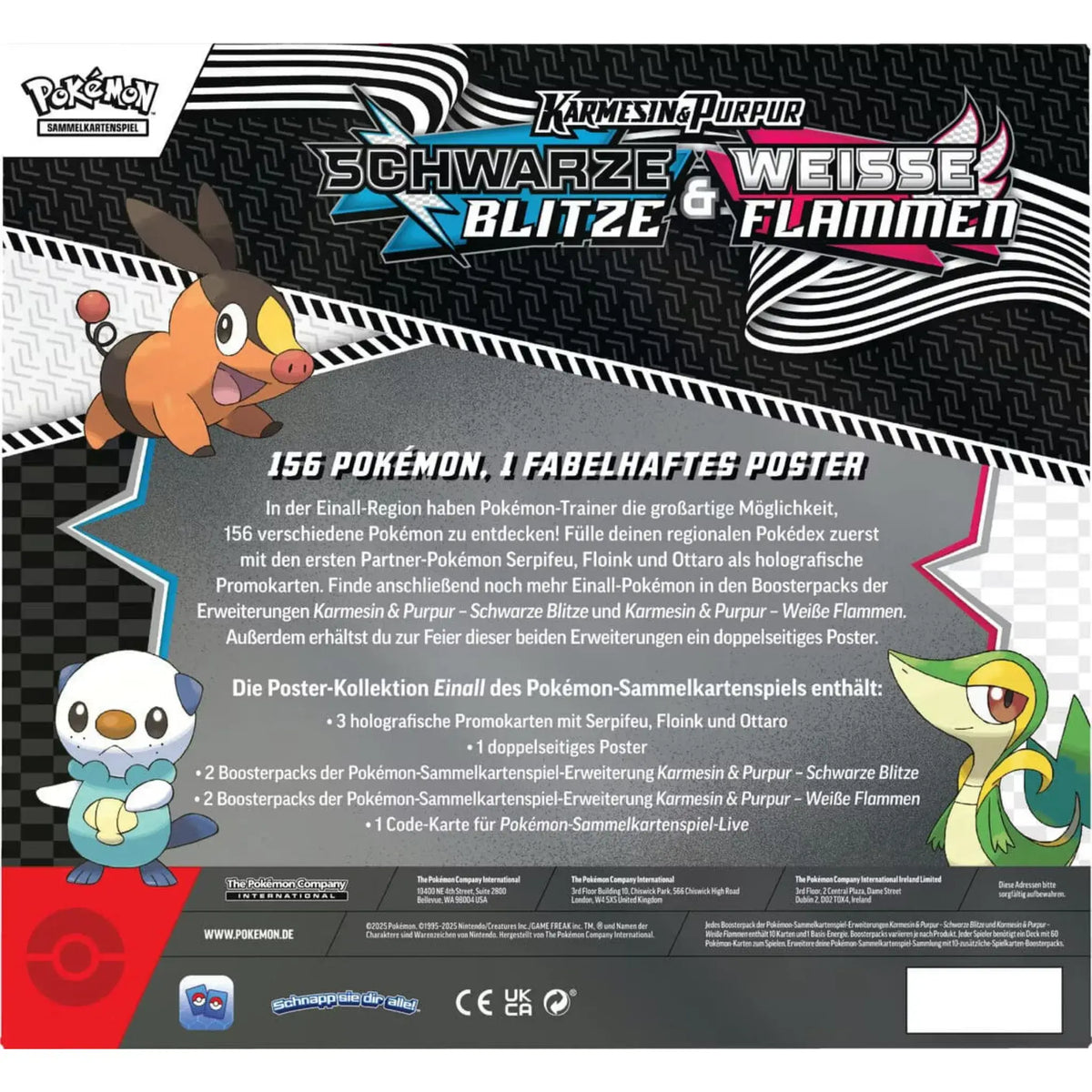 Pokémon Schwarze Blitze & Weiße Flammen Poster‑Kollektion – Rückseite mit Einall-Pokémon und Produktbeschreibung